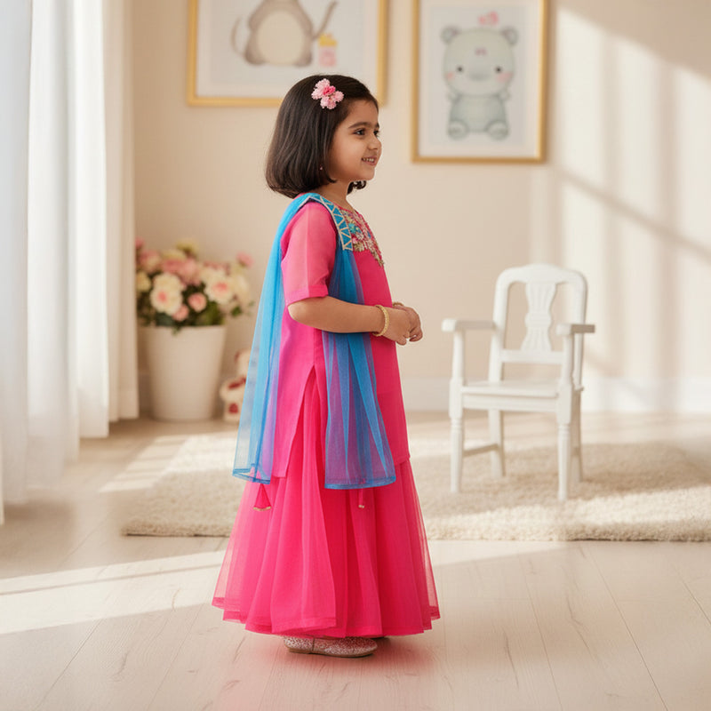 Pink Embroidered Organza Kurti With Lehenga Set