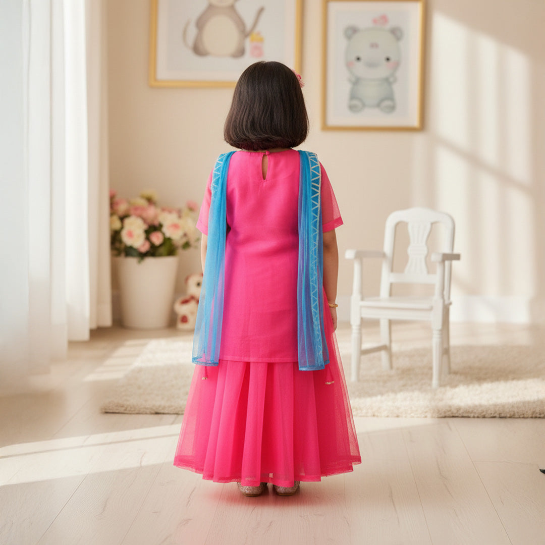 Pink Embroidered Organza Kurti With Lehenga Set