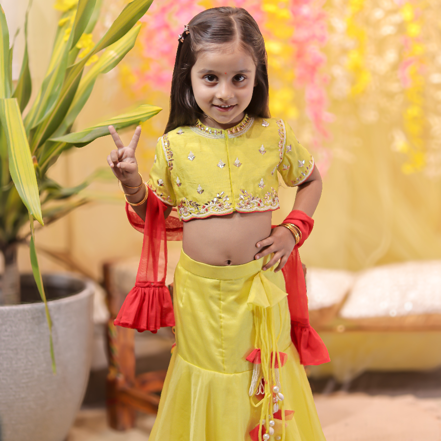 Lime Green Embroidered Top with Fish Cut Lehenga and Dupatta