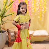 Lime Green Embroidered Top with Fish Cut Lehenga and Dupatta