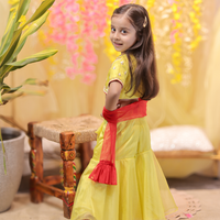Lime Green Embroidered Top with Fish Cut Lehenga and Dupatta