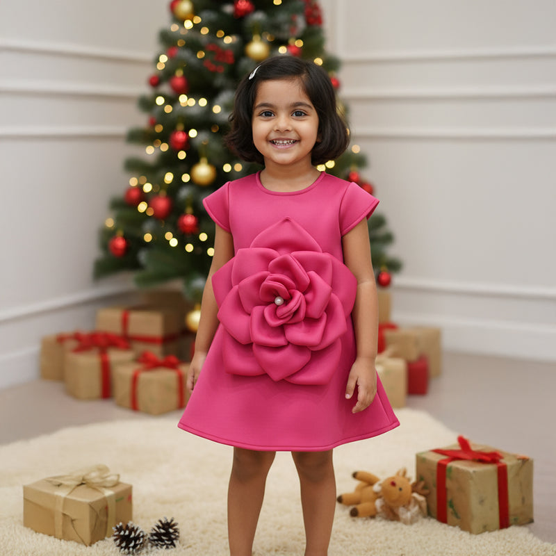 Pink Flower Detailing Frock